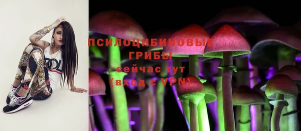индика Балахна
