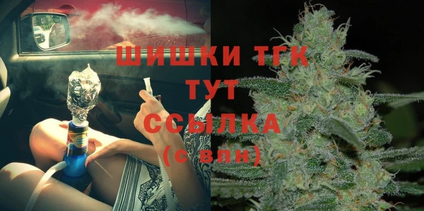 индика Балахна