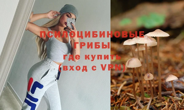 шишки Армянск